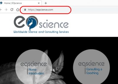 Google Chrome