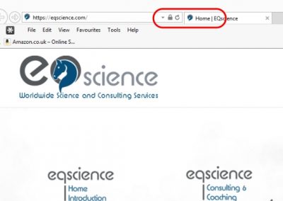 Internet Explorer